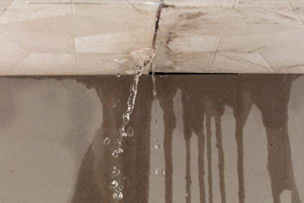 Professional Structural Drying technician working in Shreve, OH